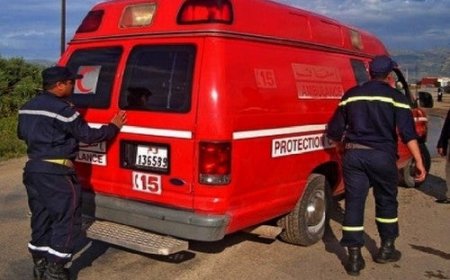 حادث مؤلم .. انقلاب سيارة للنقل تسفر عن تسجيل عدد من المصابين