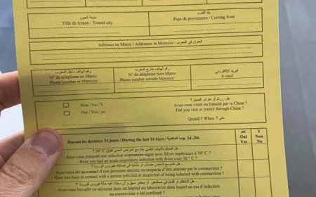 تعرف على كيفية تصدي المغرب لفيروس كورونا المستجد