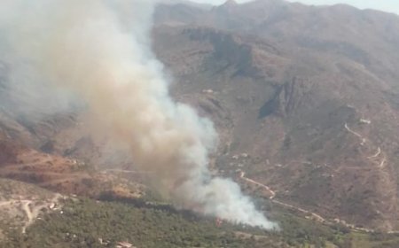اندلاع نيران كثيفة بإحدى أكبر واحات النخيل بباشتوكة