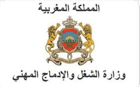 لفائدة العمال .. وزارة الشغل تحدث منصة هاتفية "ألو 2233 المهني"