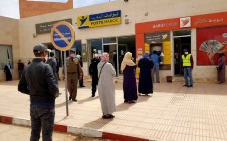 بوابة "تضامن كوفيد".. تخصيص ركن خاص لتلقي شكايات المواطنين العاملين في القطاع غير المهيكل