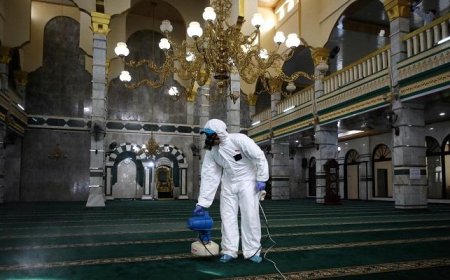 حقيقة إعادة فتح المساجد بالمملكة