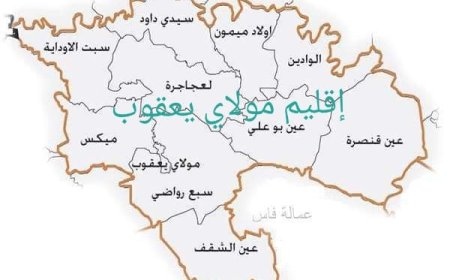 سار جدا .. إقليم مولاي يعقوب يدخل موسوعة "غينيس" .. تعرف على السبب