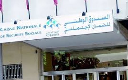 قرارات جديدة صادرة عن الصندوق الوطني للضمان الاجتماعي تخدم مصالح المقاولات