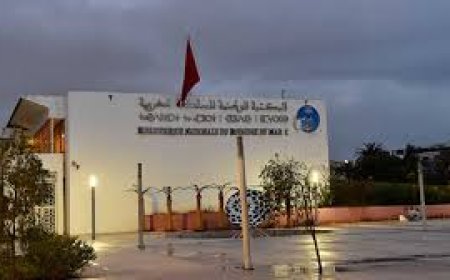 ابتداء من هذا التاريخ .. المكتبة الوطنية للمملكة المغربية تفتح أبوابها في وجه الطلبة والباحثين