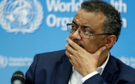 منظمة الصحة العالمية: لا يوجد حل سحري لفيروس كورونا حاليا وقد لا يكون هناك (حل) إطلاقا