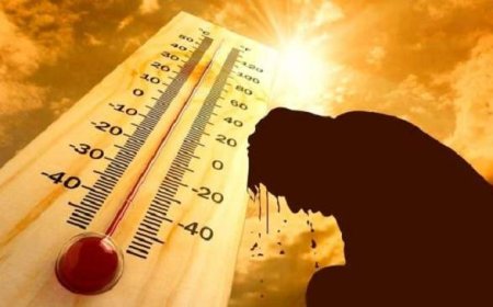 طقس حار بعدد من مناطق المملكة .. ودرجة الحرارة تصل إلى 49 درجة