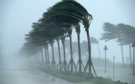 رياح قوية .. ودرجة الحرارة تصل إلى 44 درجة