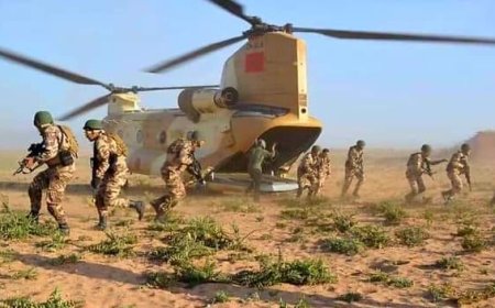عاجل/ المغرب يقرر التحرك بالكركارات لوضع حد لعرقلة تنقل الأشخاص والضائع