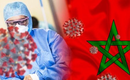 كوفيد 19 .. هذه حصيلة الإصابات المؤكدة بالمغرب خلال ل24 ساعة الماضية
