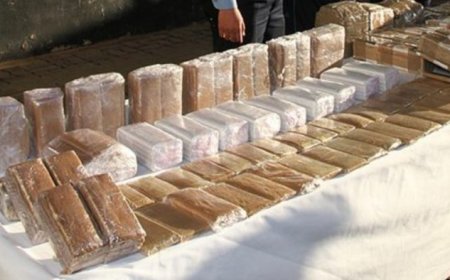 القنيطرة.. إحباط عملية تهريب طن و120 كيلوغراما من مخدر الشيرا على متن شاحنة للنقل الطرقي للبضائع