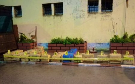 القنيطرة.. إحباط عملية تهريب طن و120 كيلوغراما من مخدر الشيرا على متن شاحنة للنقل الطرقي للبضائع