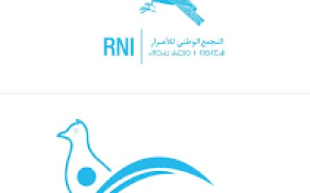 مكناس .. شبيبة التجمع الوطني للأحرار تنظم لقاءا وهذه التفاصيل