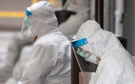 وزارة الصحة .. تسجيل 1291 إصابة و34 وفاة جديدة بـ"كورونا" في 24 ساعة