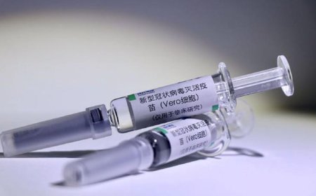 عاجل .. المغرب يتوصل بأول دفعة من لقاح سينوفارم