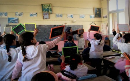 وزارة التربية الوطنية .. إعداد مشروع المنهاج الدراسي الجديد للغة الأمازيغية