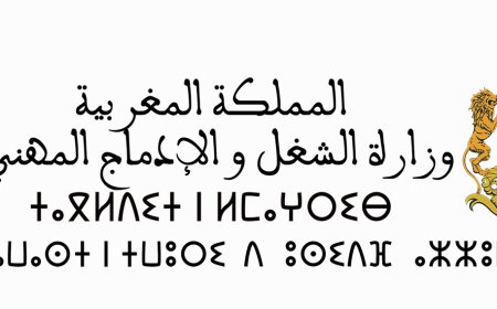 وزارة الشغل و الإدماج المهني تنظم اثنى عشر يوما جهويا للتحسيس والإعلام