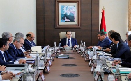 الحكومة تعمل على تحقيق الإنعاش الاقتصادي بالموازاة مع مواجهة كورونا