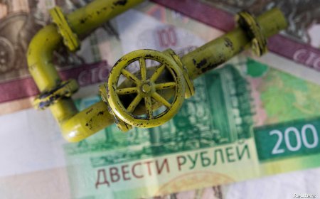 هولندا تمدد حظر التجول بسبب ظهور نسخ متحورة أكثر عدوى وانتشارا
