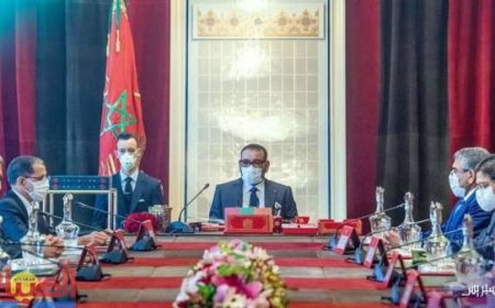 المجلس الوزاري ..جلالة الملك محمد السادس يستفسر وزير الفلاحة حول الوضعية الفلاحية بالمغرب