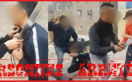 فاس .. توقيف شخصين أحدهما قاصر ظهرا في شريط فيديو يتضمن محتوى عنيف يمس بالشعور بالأمن ويهدد سلامة الأشخاص والممتلكات