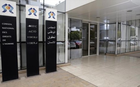 سطات.. اللجنة الجهوية لحقوق الإنسان وجامعة الحسن الأول تعززان تعاونهما لترسيخ ثقافة حقوق الإنسان