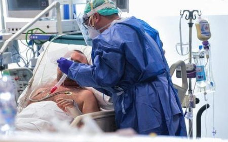 جهة فاس مكناس .. تسجيل ثلاث إصابات جديدة بفيروس كورونا خلال ل24 ساعة الماضية