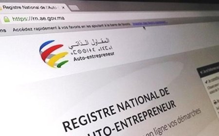 لجنة المالية والتخطيط والتنمية الاقتصادية تقر نظام التغطية الصحية لفائدة المقاولين الذاتيين