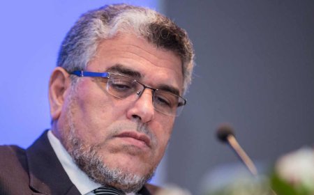المصطفى الرميد يقدم استقالته من عضوية الحكومة
