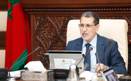 مجلس الحكومة .. تدابير استثنائية لفائدة بعض المشغِلين والعاملين في قطاع المطاعم