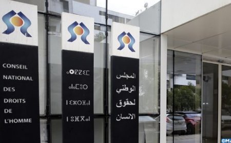 المجلس الوطني لحقوق الإنسان يؤكد على أهمية حماية الحريات العامة بما فيها حق التظاهر السلمي