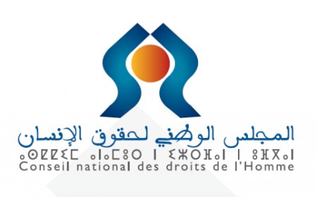 المجلس الوطني لحقوق الإنسان ..لجنة اعتماد ملاحظي الانتخابات تصادق على نظامها الداخلي وأخلاقيات الملاحظ