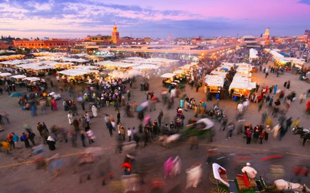 السياحة.. تمديد استفادة الأجراء والمتدربين من التعويض الخاص بكوفيد-19