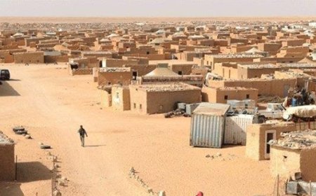 مواقع إخبارية سنغالية تسلط الضوء على قضية حرق شابين صحراويين أحياء على يد جنود جزائريين