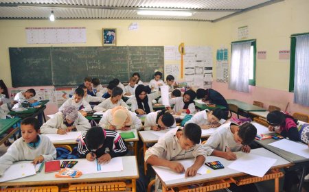 فيدرالية آباء وأمهات وأولياء التلاميذ تدعو للتدخل الفوري لإنقاذ الموسم الدراسي الحالي