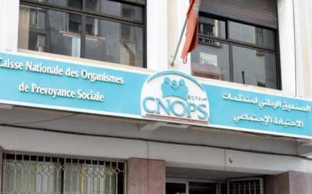 "كنوبس" يعفي زوجات وأزواج المؤَمنين من الإدلاء بشهادة عدم العمل