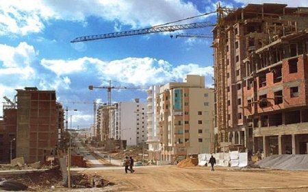 قضية "بلانات الشينوا" بفاس .. وكيل الملك لدى محكمة الإستئناف يستدعي 15 شخصا