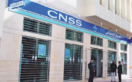 cnss .. انطلاق عملية تسجيل الأشخاص المعنيين بالمساهمة المهنية الموحدة
