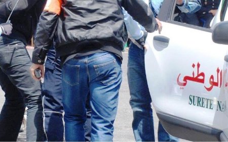 كلميم.. إيقاف شخصين يشتبه في تورطهما في قضية تتعلق بالاتجار الدولي في المخدرات والمؤثرات العقلية