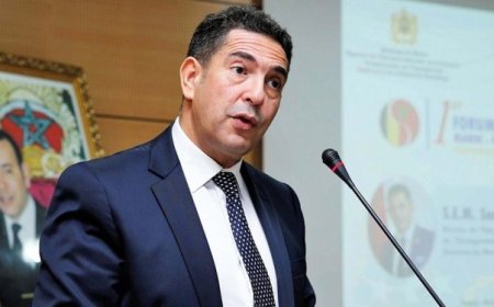 ملامح وتصورات إصلاح نظام التعليم العالي.. موضوع ندوة عن بعد