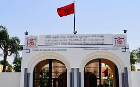 فاس .. دورة تكوينية حول المنشورات العلمية المفهرسة