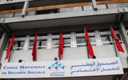 مهنيون بالقنيطرة يتسلمون شواهد الانخراط في الضمان الاجتماعي