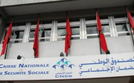 CNSS .. انطلاق عملية تسجيل التجار والمهنيين والحرفيين