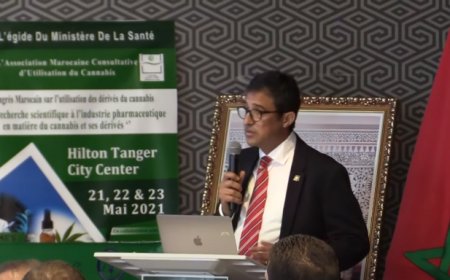 طنجة .. المؤتمر الأول حول الاستخدام السليم لمشتقات القنب الهندي
