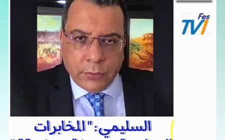 منار السليمي .. هذه أسماء الجنرالات الجزائرية المتورطة في تزورير وثائق المدعو غالي