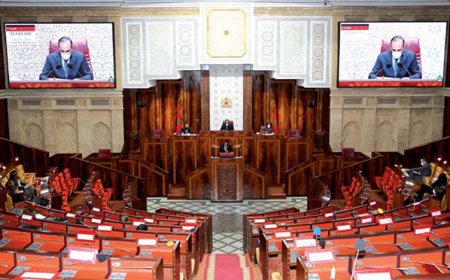 مجلس النواب يصادق بالأغلبية على مشروع القانون المتعلق بالاستعمالات المشروعة للقنب الهندي