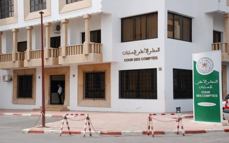 منصة رقمية لتتبع التوصيات الصادرة عن المجلس الأعلى للحسابات