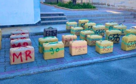 الحسيمة .. إحباط عملية للتهريب الدولي للمخدرات