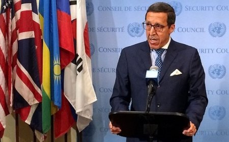 المعايير الأممية الخاصة بالحق في تقرير المصير لا تنطبق مطلقا على الصحراء المغربية (عمر هلال)