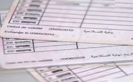 للمقبلين على رخصة السياقة .. رقمنة امتحانات نيل رخصة السياقة